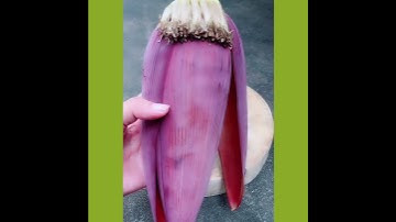 149 Hoa chuối món ăn quê dân dã mang đậm hương vị dân tộc Việt Nam Oddly Satisfying Banana Flower美人蕉