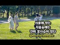 서울의 서울숲에는 진짜 꽃사슴이 있다 -  아이폰 시네마틱 모드로만 촬영 (노짐벌 4K)