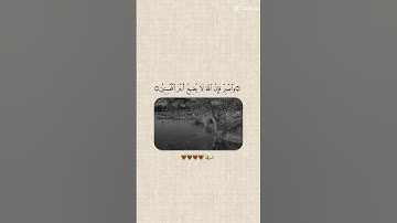 تلاوه عطره تلامس القلوب #القرآن_الكريم #اكسبلور #لايك