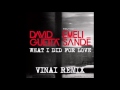 David Guetta ft Emeli Sand&eacute;   What I Did For Love VINAI REMIX