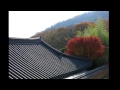 釜山 紅葉 梵魚寺 金剛公園  Busan red leaves