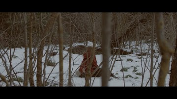 Zebra Tracks - Grains Of Sand [Official Video]