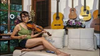 Help Me Make It Through The Night - Michael Buble - Violin cover