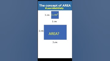 Geometry: The Concept of Square Units | Area of a Rectangle #learnmathdaily #shorts #rolandoasisten