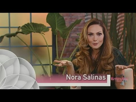 Tlminutos | Nora Salinas | Personajes | Univision Tlnovelas