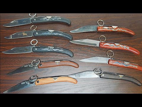 افضل مطوه قرن غزال