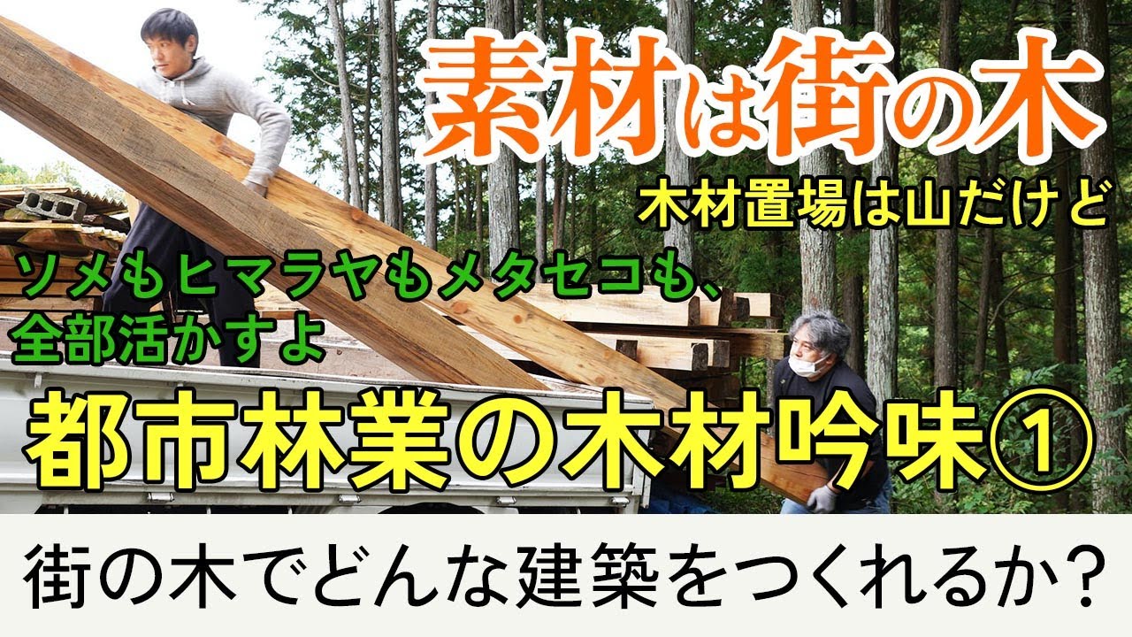 街の木で建築をつくる！2022年10月27日・大工さんと木材吟味と作戦会議