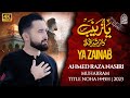 New Nohay 2023 Ya Zainab Dukhtar E Sher E Khuda Ahmed Raza Nasiri Noha Muharram Nohay 2023 1445 New Nohay 2023 Ya Zainab Dukhtar E Sher E Khuda Ahmed Raza Nasiri Noha Muharram Nohay 2023 1445