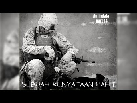 Video: Apa saja 14 kebajikan itu?