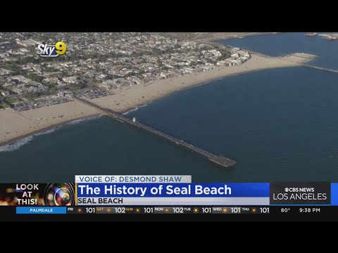 Look At This: Seal Beach