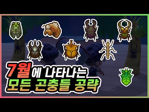 동물의숲 7월 신규어종 신규곤충 공략 보닌 mp3 동물의숲 7월 신규어종 신규곤충 공략 보닌 Mp3