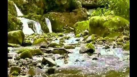 قرآن Quran قراءة خاشعة على اليوتيوب للقارئ حمد دغريري