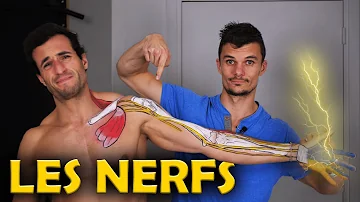 Comment soigner nerf radial ?