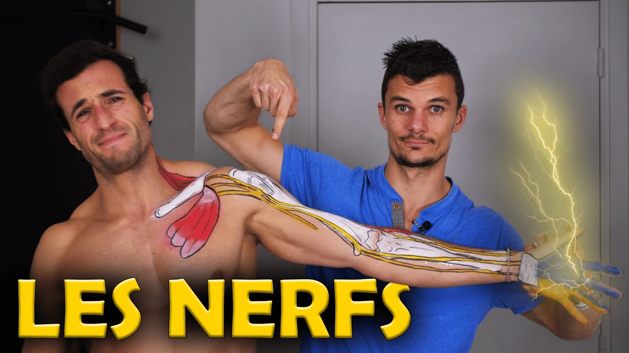 DOULEUR de NERF bloqué, CERVICAL ou dans le BRAS ? Essaye absolument cette technique (solution kiné)