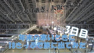 【迷列車】年末の寒いときに18きっぷで旅に出てみた 3日目【旅実況】