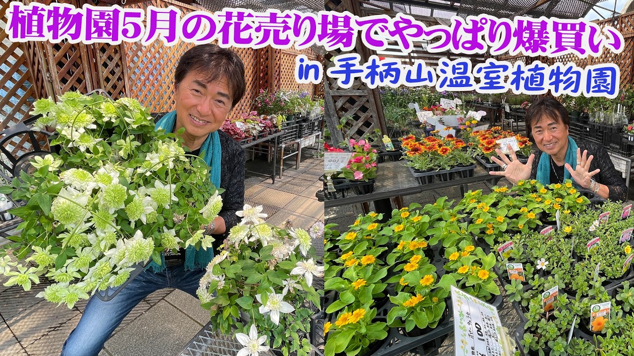 手柄山温室植物園】ロケ中にまた立ち寄る！5月の植物園の花売り場がお 