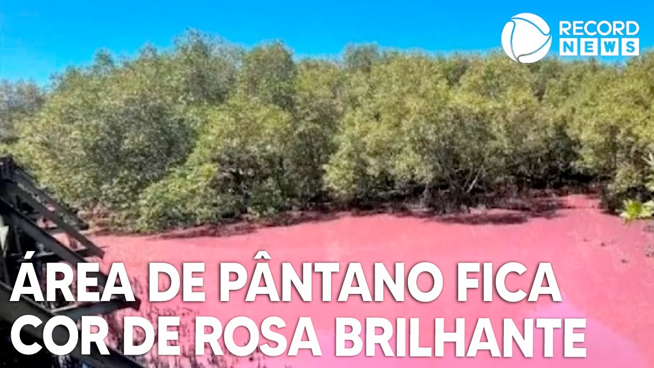 Área pantanosa adquire cor rosa brilhante na Austrália