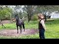 Encontré el lugar donde Nació el Caballo que Villa más Estimaba