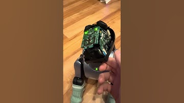 His chin sensor… #aibo #robot #robotdog #roboticpet #sonyaibo #sony