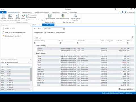 Profi cash 12 - Programmaufbau und Bedienung