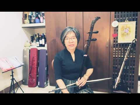 二胡流行歌曲第一冊/想要跟你飛