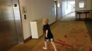 Kauai Earthquake