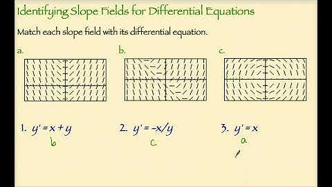 APCalcAB ~ Slope Fields and Euler