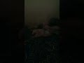 please ramein aku udah berusaha untuk buat konten walaupun aku cuma channel kecil