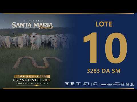 LOTE 10 FSM A3283