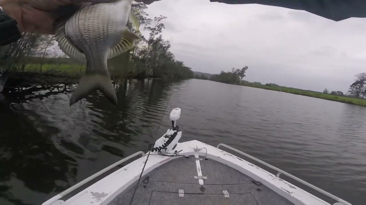 Mid north coast Bass fishing