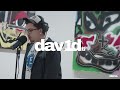 Dav1d stems acoustic performance