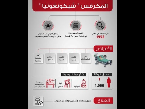 مرض المكرفس فيروس شيكونغونيا، الأعراض،الأسباب،العلاج