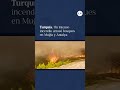Intensos incendios azotan Turquía