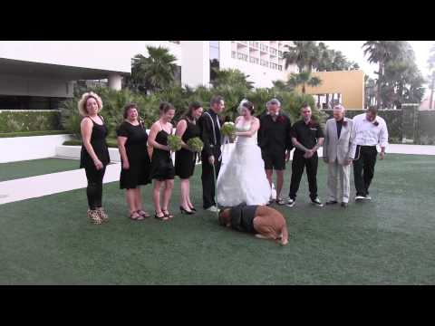 Thumb of Dog Refuses To Pose For Wedding Photos video