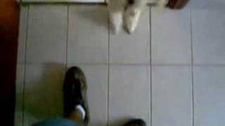 Snoopy Dog E Sua Hello Kit