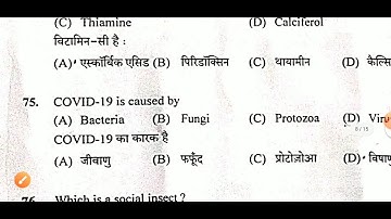 Hp Commission Post Code -763 Clerk Exam  सम्पूर्ण पेपर हल Exam held on October 18, 2020