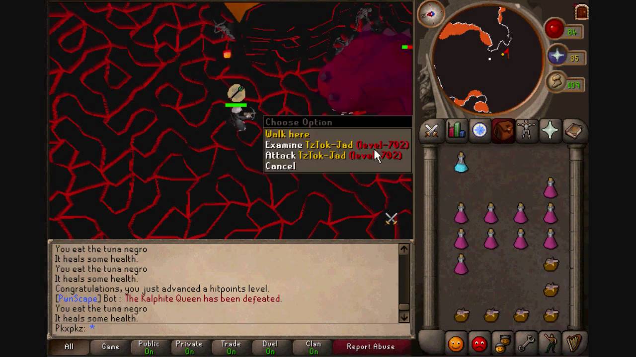 PwnScape FireCape