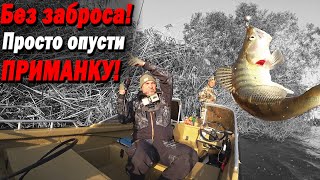 Судак Жрет! Просто Опусти Приманку. Без Заброса. Эхолот Не Нужен