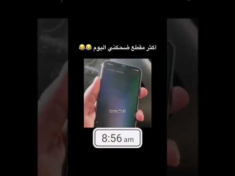 سيري يغار من الكسا