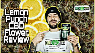 Lemon Punch CBD Flower Review - The CBD Flower Shop