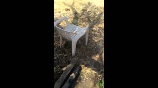 Outdoor Grow GorillaGlue update 2018