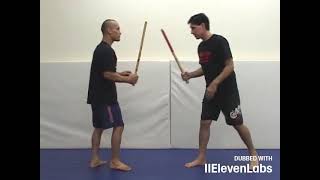 14  3 objetivos básicos en Stickfighting