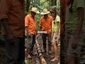 Ancient Wooden Foundation Technique Stronger Than Concrete