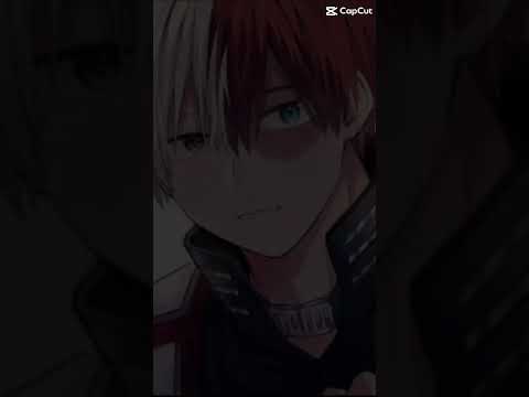 Happy Birthday, Todoroki!