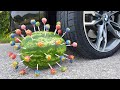 Crushing Crunchy & Soft Things by Car! EXPERIMENT CAR vs WATERMELON & LOLLIPOPS