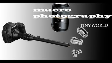 close up objects quiz#shorts  macro video