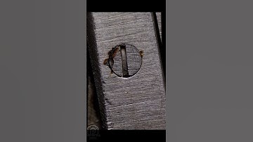 close up objects quiz#shorts  macro video