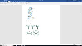Useful Features of Word - Captions and Cross-reference Tutorial