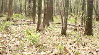 SUNP0010.AVI