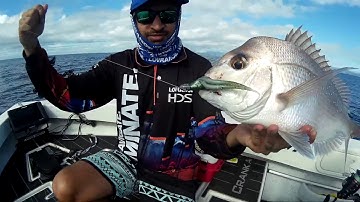Finding Snapper on the Gold Coast with Lowrance HDS Carbon